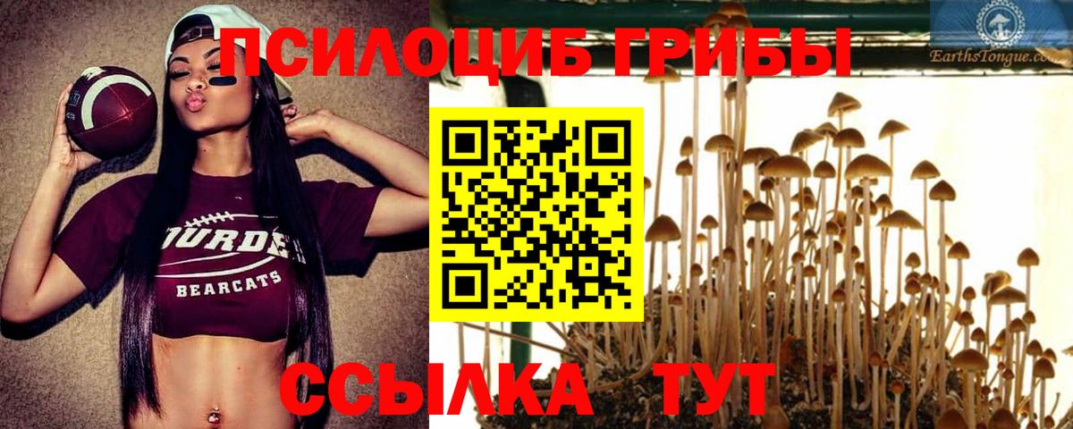 Кашира  Меф МЯУ МЯУ  Марихуана  Гашиш  КОКАИН  Вход с VPN  Мефедрон кристаллы  Гашиш 
