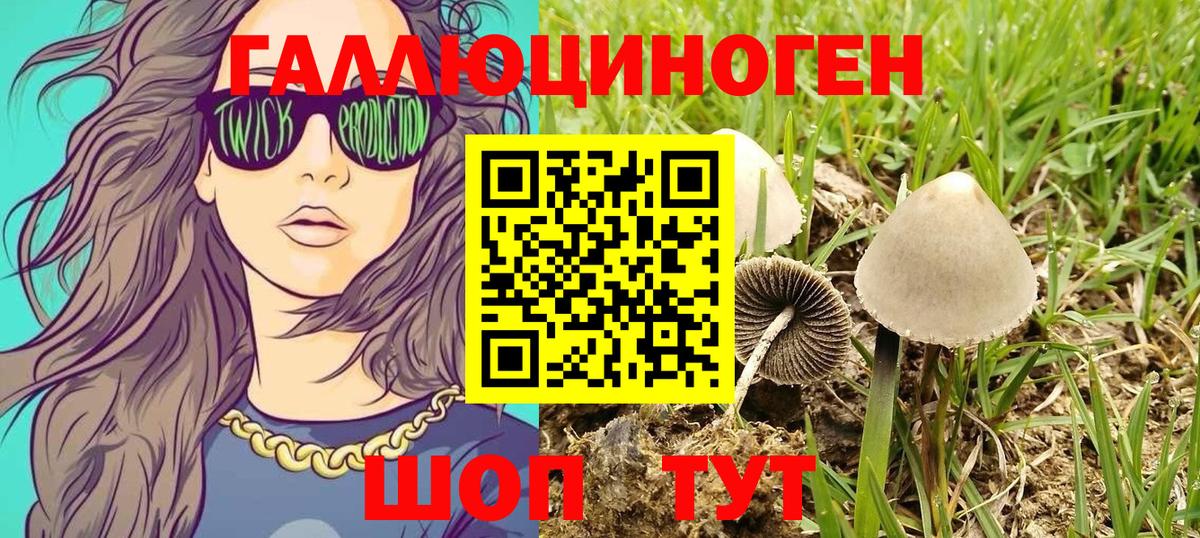 Псилоцибиновые грибы ЛСД  Вход с VPN  Кашира 