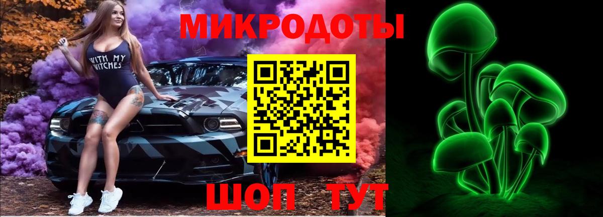Псилоцибиновые грибы Psilocybe Кашира